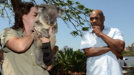 El "duro" Mike Tyson fue asustado por un koala