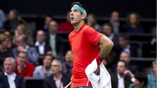 Juan Martín del Potro descartó su participación en la Copa Davis en 2014