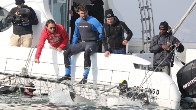 Michael Phelps vivió el "gran desafío" de nadar contra un tiburón blanco