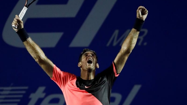 Juan Martín Del Potro venció a Kevin Anderson y ganó el ATP de Acapulco