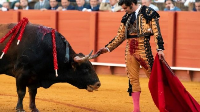 Torero secó las lágrimas a un toro antes de matarlo y causó indignación