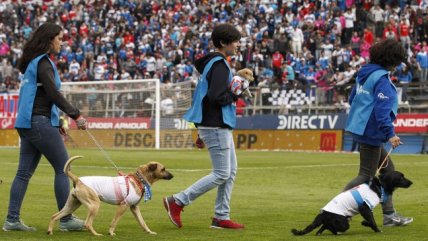 La “formación canina” que presentó Universidad Católica ante O’Higgins