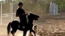 Jinete olímpico fue suspendido tres años por maltratar poni de su hija