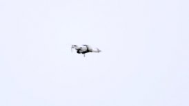 Partido entre Brentford y Wolves estuvo detenido 18 minutos por la presencia de un dron