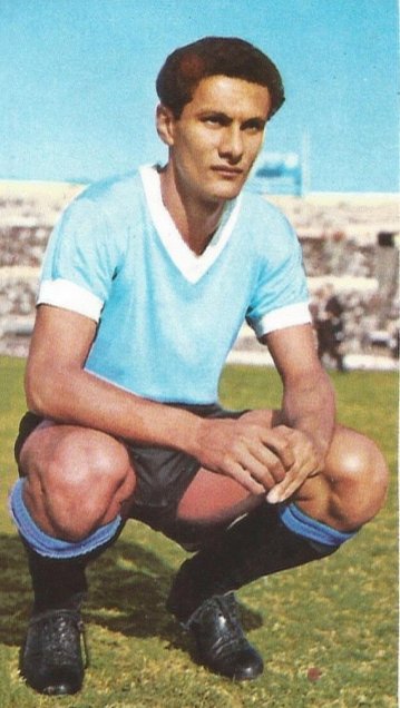 Pedro Pedro