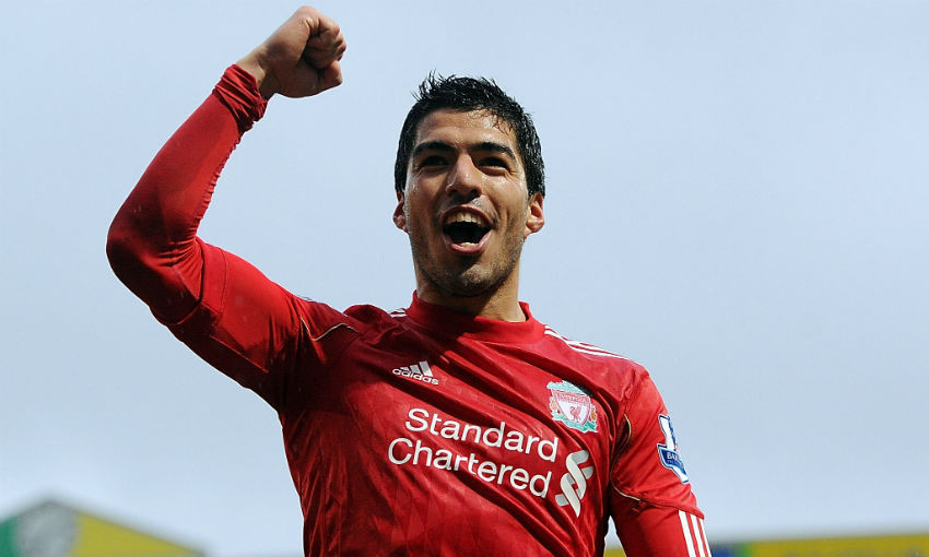 Luis Luis