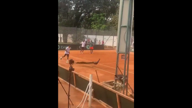 [VIDEO] ¡Insólito! Un pavo real interrumpió un duelo de Copa Davis