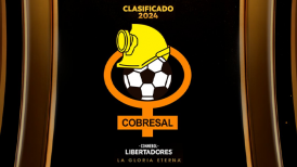 Cobresal aseguró cupo en la Libertadores 2024 tras triunfo de Everton sobre Palestino