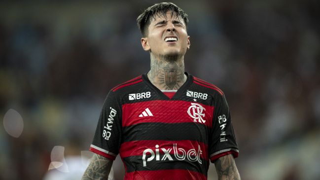 ¡Alerta en Palestino y La Roja! Flamengo dio a conocer los alcances de la lesión que sufrió Erick Pulgar