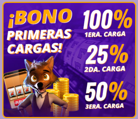 Imagen foto_00000001