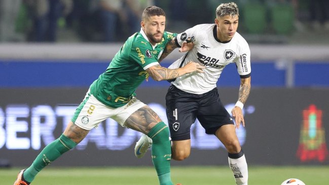 Botafogo mete miedo tras dejar en el camino a Palmeiras en Copa Libertadores