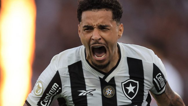 Botafogo cierra un año de ensueño al gritar campeón en el Brasileirao